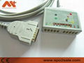 GE Multi-Link 22341808 12-Lead ECG