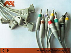 HP M1713B 10 leads set