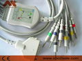 Fukuda FX-101 one-piece 10-Lead EKG cable FX-7101,FX-7202,FX-7402,FX-2111