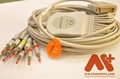 OEM EKG Cable from szmedplus