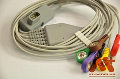 Physio Control Compatible ECG Leadwire - 11111-000022