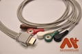 Vasomedical Biox 1305 5 lead holter