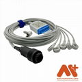 HEYER / SAADAT / SIARE ECG Cable 8 Pin