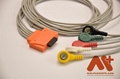 Cardioline Walk 400H 5 Lead 7 lead 10 lead Holter Cable