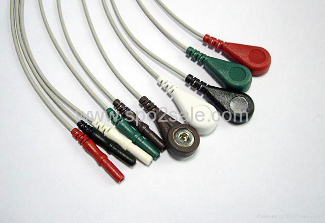 DIN Series 5-lead leadwires