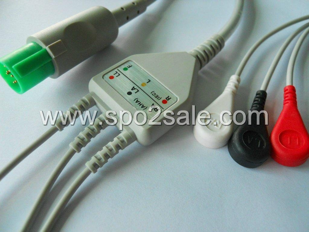 Hellige one piece fixed ECG cable with leadwires