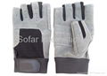 Mechanical Glove/ Bike Glove/ Finshing/ Sports Glove