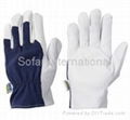 Mechanical Glove/ Bike Glove/ Finshing/ Sports Glove