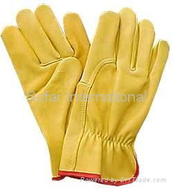Driving Glove/ Sailing Glove/ Sports Glove/ Shooting Glove