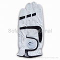 Driving Glove/ Sailing Glove/ Sports Glove/ Shooting Glove