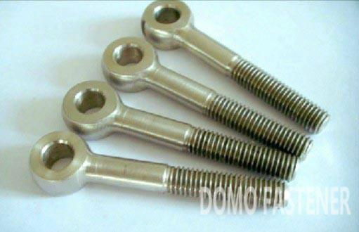 DIN444 Eye bolts S.S 316