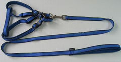 Pet Leashes