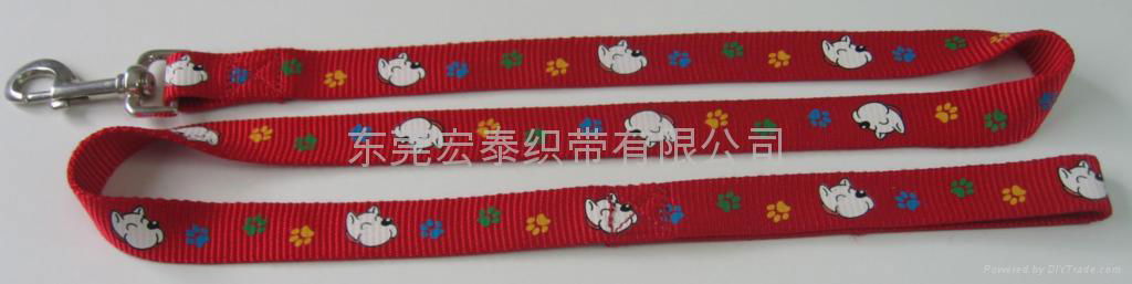 Pet Leashes 4