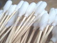 Form Swabs 1