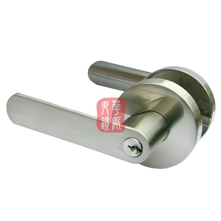 3676 tubular lever lock