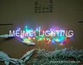 LED String Light 1