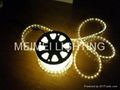 100m warm white led rope light