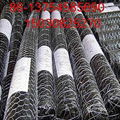 Hexagonal wire mesh  1