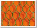Hexagonal wire mesh  2