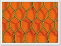 Hexagonal wire mesh 