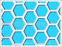 Perforated Metal Sheet 4