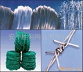 Barbed Wire  3