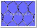 Hexagonal wire mesh  4