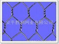 Hexagonal wire mesh 