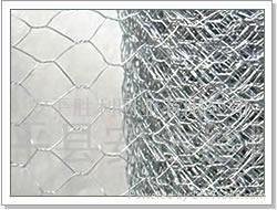 Hexagonal wire mesh  5