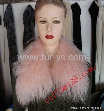 fur collar 5