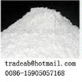 calcium carbonate power 1