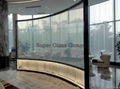 Switchable Glass 3