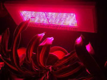 300W Led grow light 2