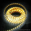 SMD3528 60leds/M smd led strip lightings 5