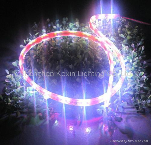 SMD5050 30leds/M led rope lights 4