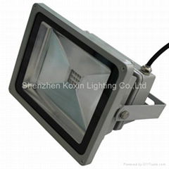 CREE 30W single colour led foodlighting