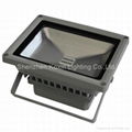 CREE 30W single colour led foodlighting 3