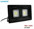 100W LED driverless floodlight, led floodlight, COB floodlight, LED street light 1