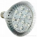High power led PAR lamp  PAR38 12X1W