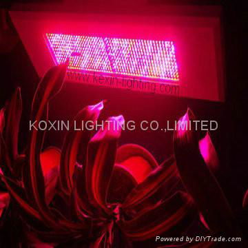 300W LED 植物生長燈