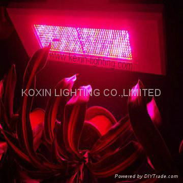 300W LED 植物生长灯