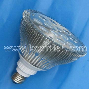 2010 led PAR lamp PAR38 12*2W (New) 2