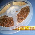 SMD5050 60leds/M flexible strip lamp 3