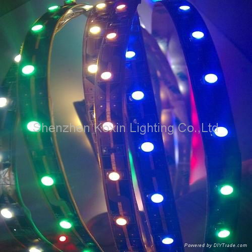 SMD5050 60leds/M flexible strip lamp 4