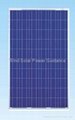 240W Solar PV Modules (Poly)