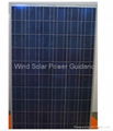 230W Polycrystal PV Module