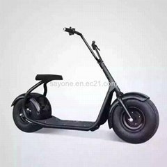 2016 the Most Fashionable Citycoco 2 Wheel Electric Scooter
