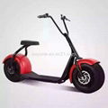 2016 the Most Fashionable Citycoco 2 Wheel Electric Scooter 3