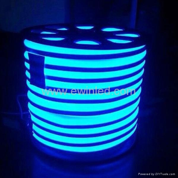 LED Neon Flex (14*26mm,24V) 5
