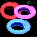 LED Neon Flex (14*26mm,24V)